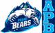 Alaska Logo