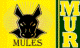 Murfreesboro Logo