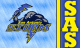 San Antonio Logo