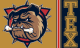 Texas Logo
